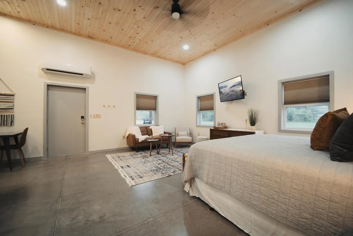 A calm and comfortable studio space featuring a plush bed, a seating area with a sofa, a television, and a textured area rug. The layout highlights the integration of sleeping and living zones, with cozy touches like decorative pillows and a window offering soft natural light.